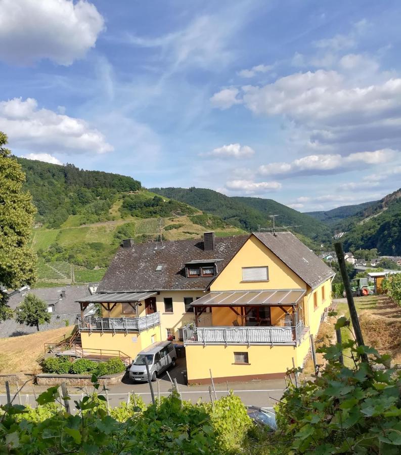 Die Ferienwohnung Lindenhof Целль-ан-дер-Мозель Экстерьер фото