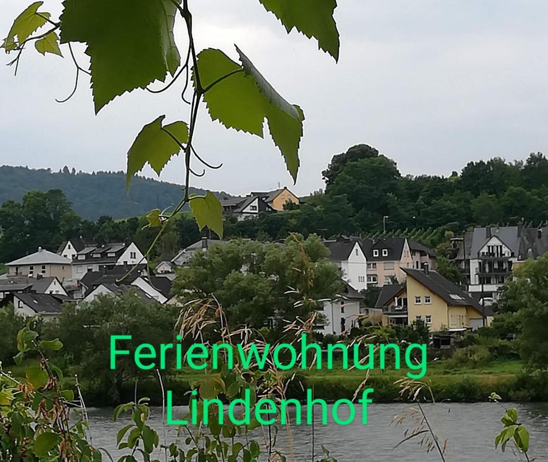 Die Ferienwohnung Lindenhof Целль-ан-дер-Мозель Экстерьер фото